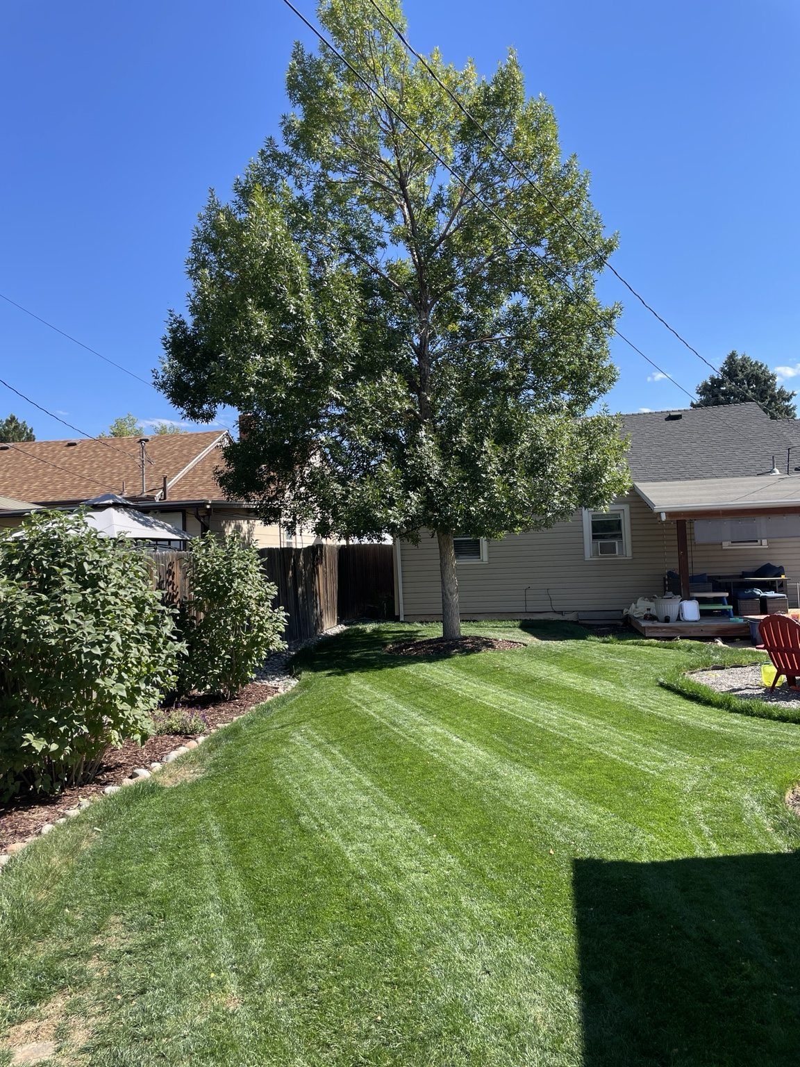 A perspective down the finished lawn
