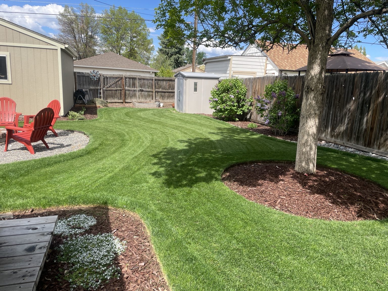 Finished backyard looking across the established lawn