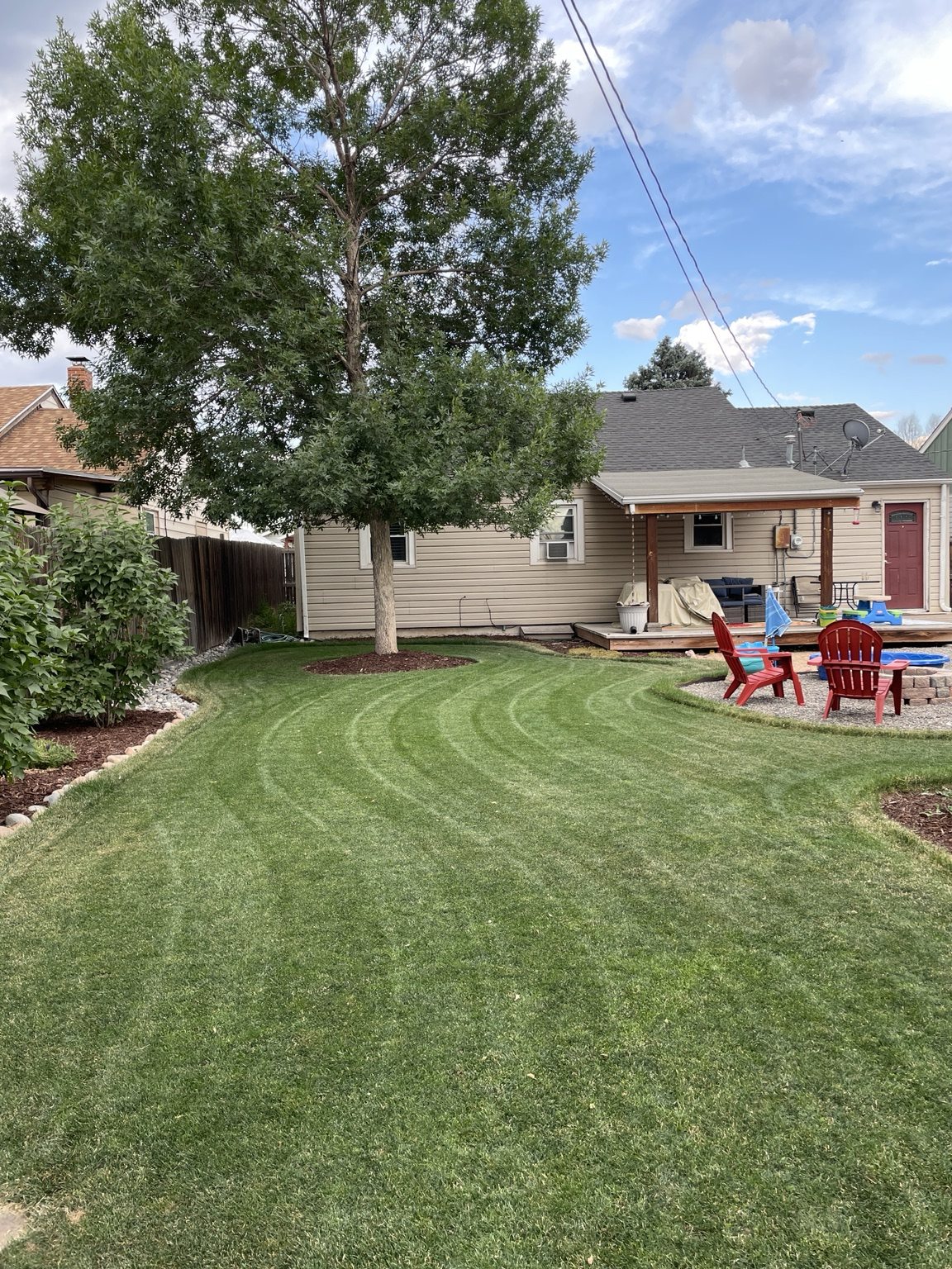 Finished backyard with a curved lawn, a mature tree, and a pair of chairs
